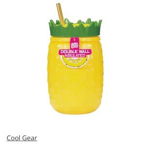 NEW! Cool Gear Pineapple Insulated Cup - BPA-free | Unused